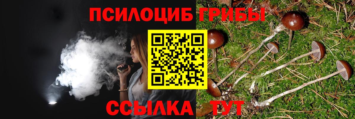 Галлюциногенные грибы Psilocybe  Вход с VPN  Псилоцибиновые грибы ЛСД  Пятигорск 